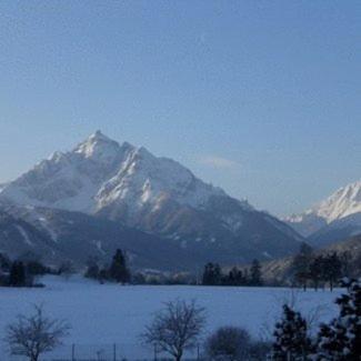 Haus Angelika - Bed & Breakfast - Innsbruck/Igls エクステリア 写真